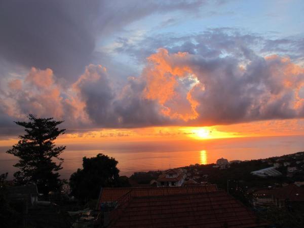 Madeira House Casa de Férias Calheta (Madeira)